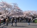 IMG_1851