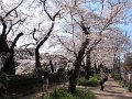 IMG_1902