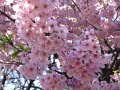 IMG_1973