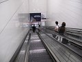 IMG_3494