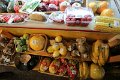 IMG_0146