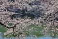 IMG_0006