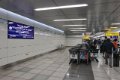IMG_0002